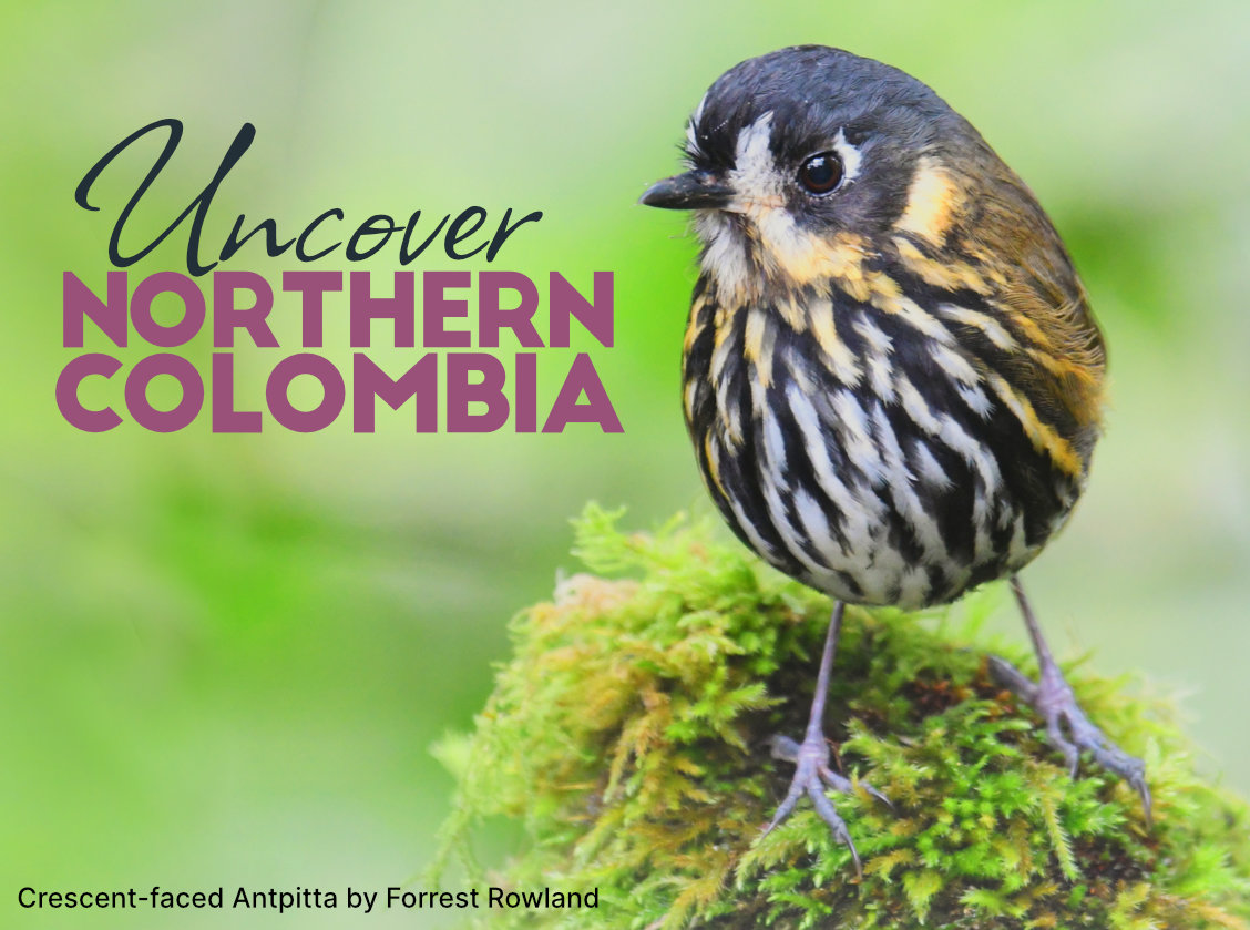 Uncover Northern Colombia