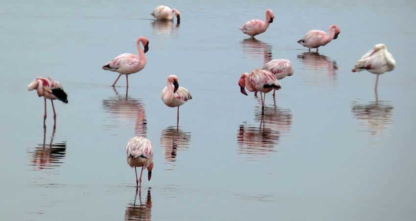 Safari naar Namibië, Botswana en Victoria Falls, deel 1