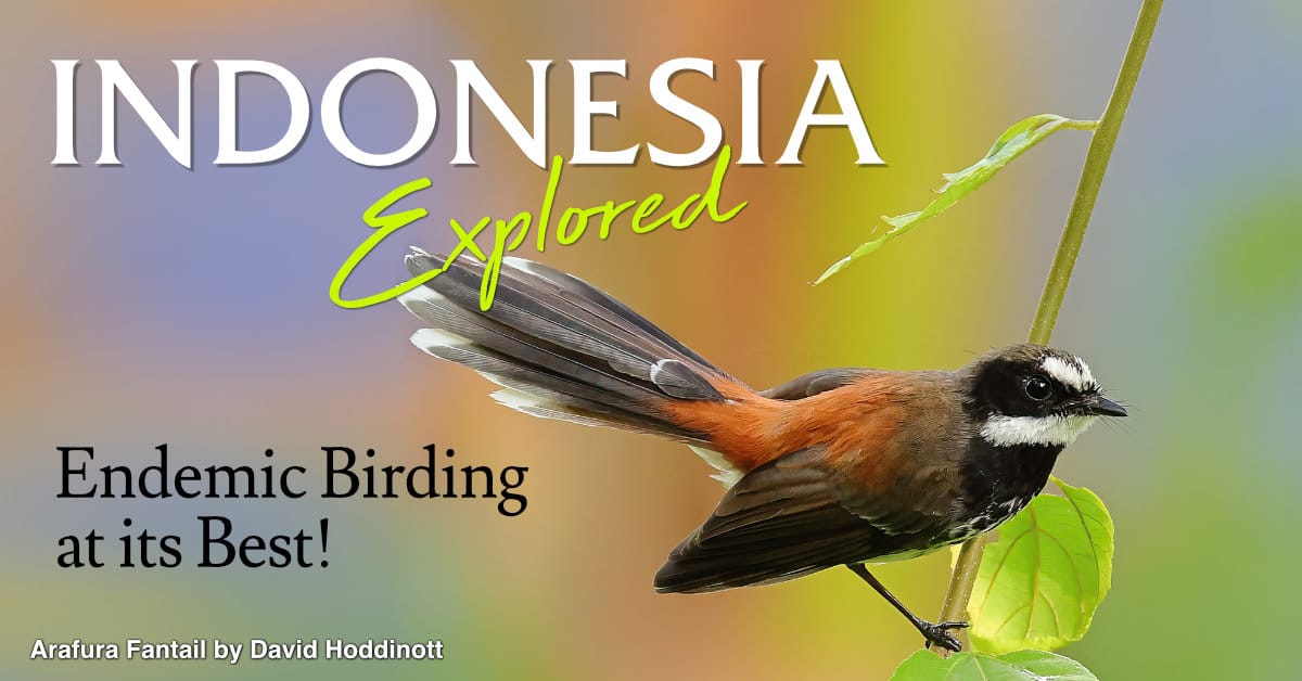 Indonesia explorada