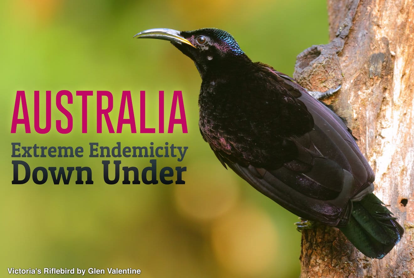 Australia: Endemia extrema en Australia