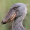 enuriry-img
