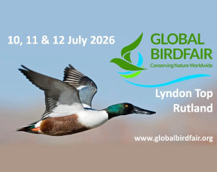 global birdfair2